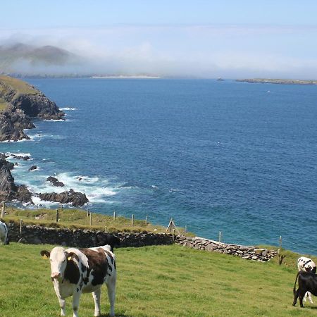 Cois Chnoic Holiday Home Dingle By Trident Holiday Homes Exterior photo