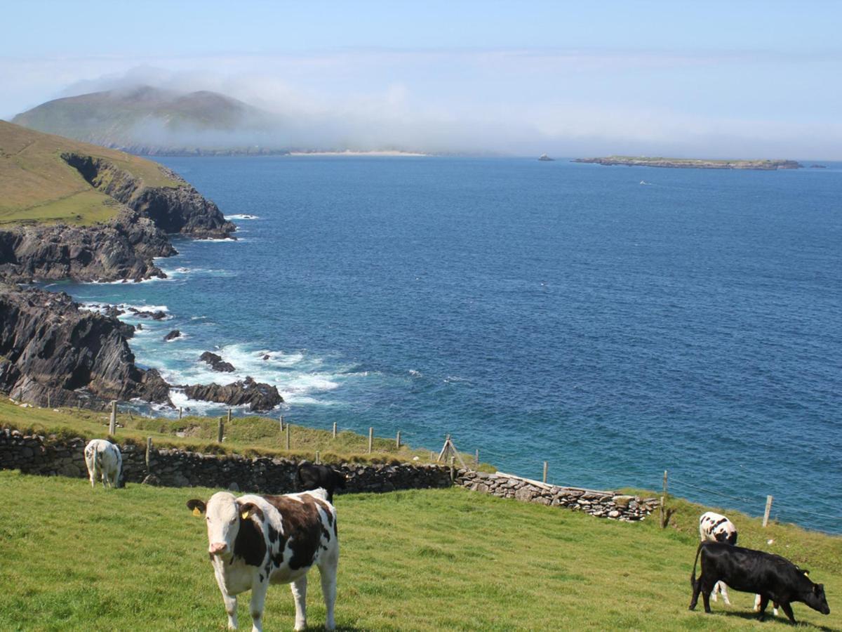 Cois Chnoic Holiday Home Dingle By Trident Holiday Homes Exterior photo