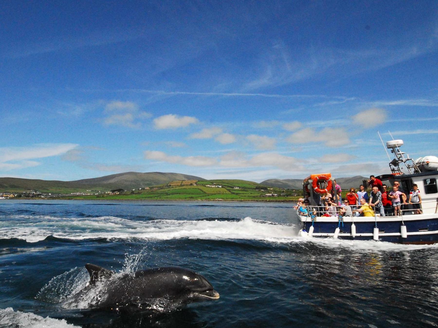 Cois Chnoic Holiday Home Dingle By Trident Holiday Homes Exterior photo